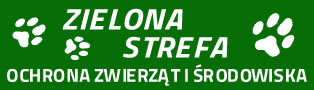 Zielona strefa