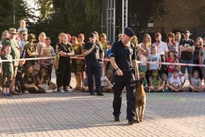 Policyjny przewodnik z psem podczas pokazu. W oddali tłum ludzi.