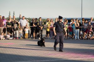 Policyjny przewodnik z psem podczas pokazu. W oddali tłum ludzi.