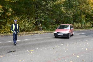 Umundurowany policjant stojący na jezdni podczas zatrzymywania pojazdu