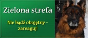 Na zielonym tle napis &quot; Zielona strefa; Nie bądź obojętny- zareaguj!&quot; po prawej stronie zdjęcie psa