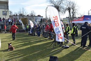 Pokaz psów poszukiwawczo-ratowniczych. W tle uczestnicy biegu