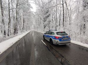 Oznakowany radiowóz na tle ośnieżonych drzew