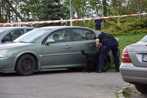 Policjant z psem służbowym przy samochodzie