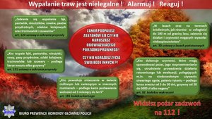 Infografika: Temat infografiki: Wypalanie traw jest nielegalne ! Alarmuj ! Reaguj ! 
Na tle zdjęcia przedstawiającego pożar obszaru leśnego widnieją tablice koloru zielonego z zacytowanymi przepisami prawnymi: 
„Zabrania się wypalania łąk, pastwisk, nieużytków, rowów, pasów przydrożnych, szlaków kolejowych oraz trzcinowisk i szuwarów” art. 124 ustawy o ochronie przyrody
„Kto wypala łąki, pastwiska, nieużytki, rowy, pasy przydrożne, szlaki kolejowe, trzcinowiska lub szuwary - podlega karze aresztu albo grzywny” art. 131 ustawy o ochronie przyrody 
„Kto powoduje zniszczenie w świecie roślinnym lub zwierzęcym w znacznych rozmiarach – podlega karze pozbawienia wolności od 3 miesięcy do lat 5” art. 181 kodeksu karnego 
 „W lasach oraz na terenach śródleśnych, jak również w odległości do 100 m od granicy lasu, zabrania się działań i czynności mogących wywołać niebezpieczeństwo” art. 30 ustawy o lasach państwowych 
„Kto dokonuje czynności, które mogą spowodować pożar, jego rozprzestrzenianie się, utrudnienie prowadzenia działania ratowniczego lub ewakuacji, polegających m.in. na niedozwolonym używaniu otwartego ognia, paleniu tytoniu – podlega karze aresztu od 5 do 30 dni, grzywny od 20 do 5000 zł albo nagany” art. 82 kodeksu wykroczeń 
W prawym dolnym rogu widnieje napis:  Widzisz pożar zadzwoń na 112 !
W lewym dolnym rogu widnieje logo Policji oraz napis: Biuro Prewencji Komendy Głównej Policji