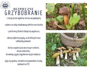 Plakaty dotyczące bezpiecznego grzybobrania