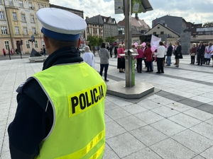 Zdjęcie przedstawia policjanta. W tle przemarsz