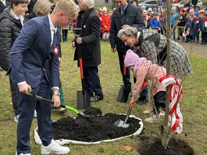 Zdjęcie przedstawia osoby sadzące drzewo