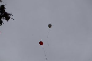 Zdjęcie przedstawia lecące balony w kolorach biały i czerwony