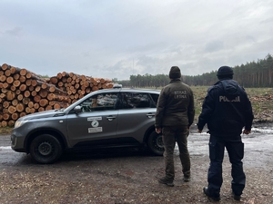 Zdjęcie przedstawia policjanta oraz strażnika miejskiego podczas kontroli lasu