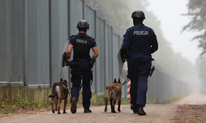 Zdjęcie policjantów z psami podczas patrolu granicy państwa