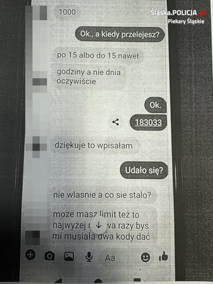 Zdjęcie fragmentu rozmowy na internetowym komunikatorze