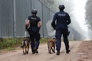 Zdjęcie policjantów z tarczami oraz psem