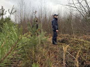 Zdjęcia przedstawiają policjantów oraz strażników leśnych podczas wspólnego patrolu lasu