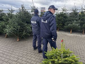 Zdjęcia przedstawiają policjantów oraz strażników leśnych podczas wspólnego patrolu lasu