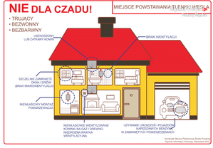 Grafika przedstawia dom oraz potencjalne źródła czadu