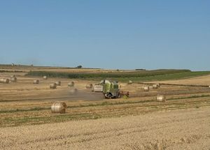 Zdjęcie kombajnu podczas prac polowych