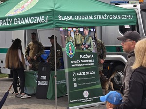 Zdjęcie uczestników pikniku rodzinnego na Kopcu Wyzwolenia