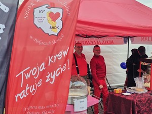 Zdjęcie uczestników pikniku rodzinnego na Kopcu Wyzwolenia