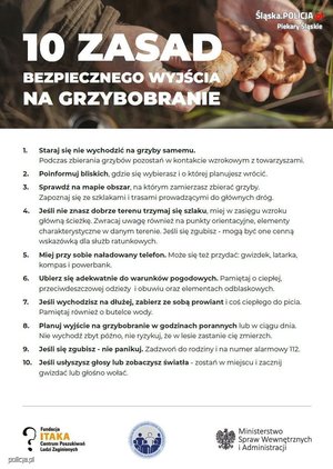 grafika przedstawia grzyby oraz zasady bezpiecznego grzybobrania