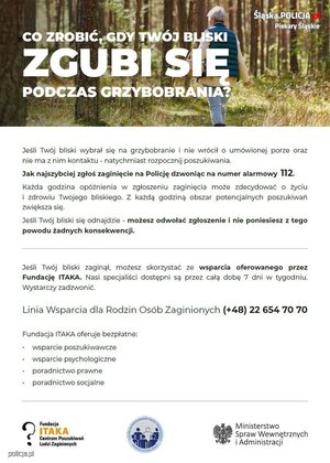 grafika przedstawia grzyby oraz zasady bezpiecznego grzybobrania