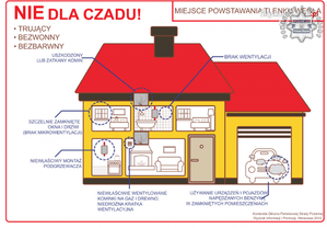 Grafika przedstawia dom oraz potencjalne źródła czadu