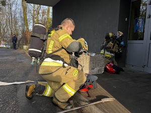 Zdjęcia z ćwiczeń policyjnych w szkole