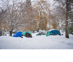 zdjęcie namiotów rozłożonych na śniegu