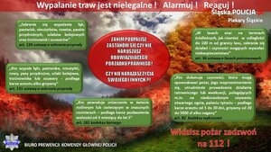 Infografika: Temat infografiki: Wypalanie traw jest nielegalne ! Alarmuj ! Reaguj ! 
Na tle zdjęcia przedstawiającego pożar obszaru leśnego widnieją tablice koloru zielonego z zacytowanymi przepisami prawnymi: 
„Zabrania się wypalania łąk, pastwisk, nieużytków, rowów, pasów przydrożnych, szlaków kolejowych oraz trzcinowisk i szuwarów” art. 124 ustawy o ochronie przyrody
„Kto wypala łąki, pastwiska, nieużytki, rowy, pasy przydrożne, szlaki kolejowe, trzcinowiska lub szuwary - podlega karze aresztu albo grzywny” art. 131 ustawy o ochronie przyrody 
„Kto powoduje zniszczenie w świecie roślinnym lub zwierzęcym w znacznych rozmiarach – podlega karze pozbawienia wolności od 3 miesięcy do lat 5” art. 181 kodeksu karnego 
 „W lasach oraz na terenach śródleśnych, jak również w odległości do 100 m od granicy lasu, zabrania się działań i czynności mogących wywołać niebezpieczeństwo” art. 30 ustawy o lasach państwowych 
„Kto dokonuje czynności, które mogą spowodować pożar, jego rozprzestrzenianie się, utrudnienie prowadzenia działania ratowniczego lub ewakuacji, polegających m.in. na niedozwolonym używaniu otwartego ognia, paleniu tytoniu – podlega karze aresztu od 5 do 30 dni, grzywny od 20 do 5000 zł albo nagany” art. 82 kodeksu wykroczeń 
W prawym dolnym rogu widnieje napis:  Widzisz pożar zadzwoń na 112 !
W lewym dolnym rogu widnieje logo Policji oraz napis: Biuro Prewencji Komendy Głównej Policji
