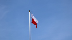 Uczestnicy obchodów 3 maja