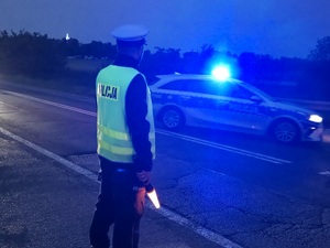 Mundurowi podczas zabezpieczania imprezy na terenie Kopca Wyzwolenia