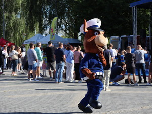 Zdjęcie uczestników pikniku podczas wydarzenia