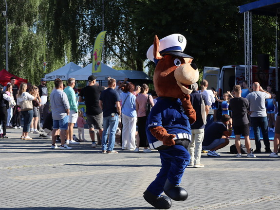 Zdjęcie uczestników pikniku podczas wydarzenia