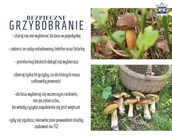 Informacje dotyczące bezpiecznego grzybobrania